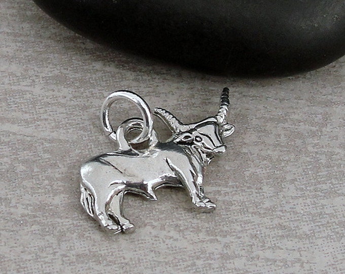 Silver Longhorn Bull Charm, Longhorn Bull Necklace Charm, Cattle Charm, Cattle Necklace, Cattle Rancher Charm, Longhorn Bull Jewelry Gift