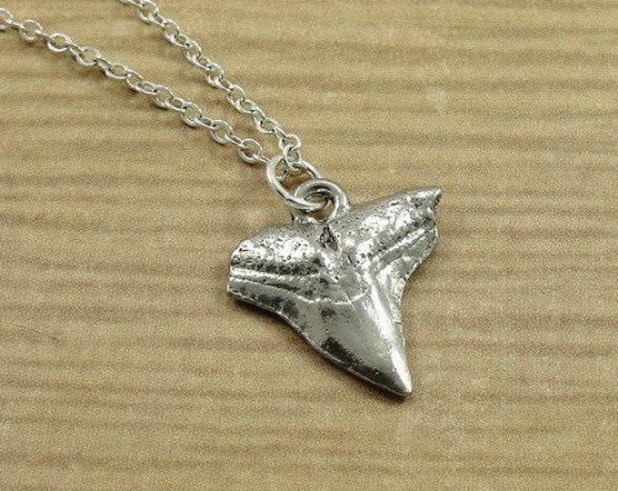 Shark Tooth Necklace, Silver Shark Tooth Necklace on a Silver Cable Chain