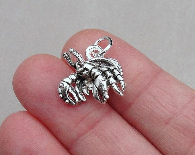 Hermit Crab Charm, Silver Plated 3D Hermit Crab Charm for Necklace or Bracelet, Hermit Crab Gift, Pet Hermit Crab Jewelry