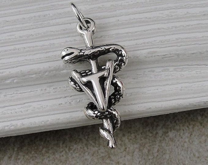 Vet TECH Charm, 925 Sterling Silver 3D Vet TECH Necklace Charm, Veterinary Assistant Charm, Vet Tech Gift, VeterInary Technician Charm Gift