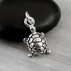 Turtle Charm, Silver Plated Turtle Charm for Necklace or Bracelet, Tortoise Charm, Box Turtle Charm, Turtle Necklace, Turtle Gift Jewelry