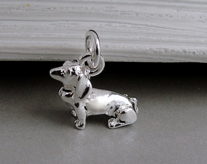 Dachshund Charm, Silver Plated Wiener Dog Charm for Necklace or Bracelet, 3D Dachshund Charm, Dachshund Gift, Dachshund Jewelry