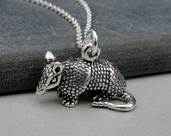 Armadillo Necklace, 925 Sterling Silver Armadillo Charm on a Silver Cable Chain, 3D Armadillo Pendnat, Texas Necklace, Armadillo Gift