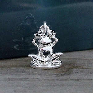 Silber Frosch Charm, Froggy Charme, Frosch-Liebhaber-Charme, Frosch mit Herz Charm, Frosch Schmuck, Frosch Halskette Charm, Armband Charm, Frosch Geschenk