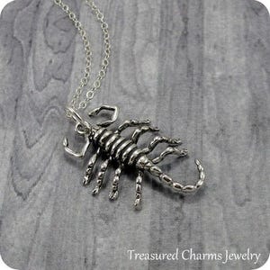Scorpion Necklace, Sterling Silver Scorpion Charm on a Silver Cable Chain image 1