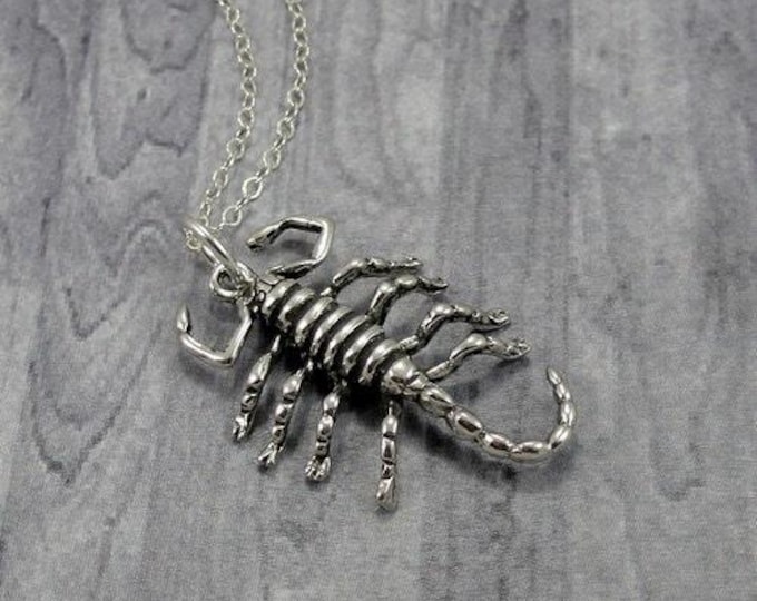 Scorpion Necklace, Sterling Silver Scorpion Charm on a Silver Cable Chain