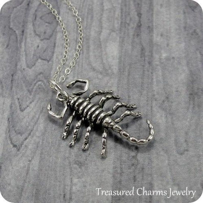 Scorpion Necklace, Sterling Silver Scorpion Charm on a Silver Cable Chain image 1