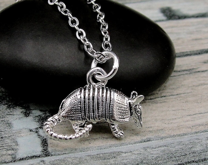 Armadillo Necklace, Silver Plated Armadillo Charm Necklace, Texas Charm Necklace, Texas Charm, Texas Gift, Texas Armadillo Jewelry