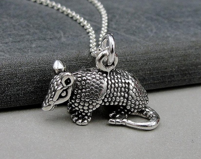 Armadillo Necklace, 925 Sterling Silver Armadillo Charm on a Silver Cable Chain, 3D Armadillo Pendnat, Texas Necklace, Armadillo Gift