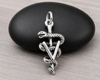 Veterinarian Charm, 925 Sterling Silver 3D Vet Symbol Charm for Necklace or Bracelet, Veterinarian Pendant, Veterinarian Gift