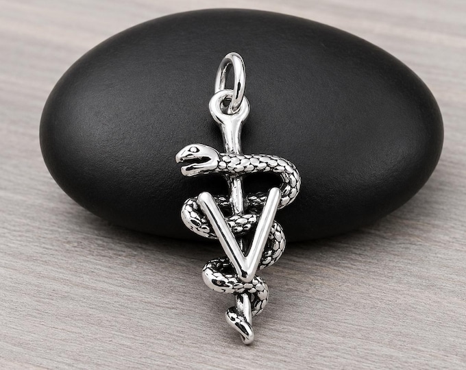 Veterinarian Charm, 925 Sterling Silver 3D Vet Symbol Charm for Necklace or Bracelet, Veterinarian Pendant, Veterinarian Gift