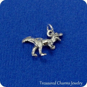 Tyrannosaurus Rex Charm - Silver Tyrannosaurus Rex Charm for Necklace or Bracelet