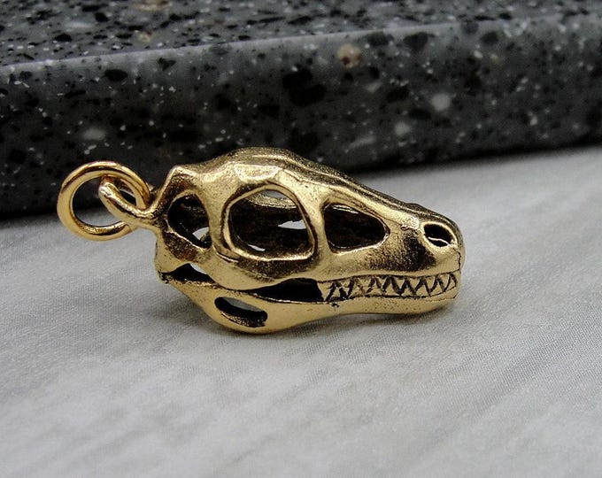 Tyrannosaurus Rex Charm, Gold T-Rex Charm for Necklace, Dinosaur Charm, T-Rex Skull Charm, Dinosaur Fossil Charm, Dinosaur Skeleton Charm