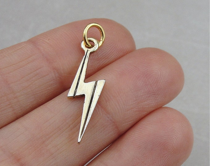 Lightning Bolt Charm, Gold Lightning Charm Necklace or Bracelet,  Thunderstorm Charm, Meteorologist Gift, Weather Gift, Weather Jewelry