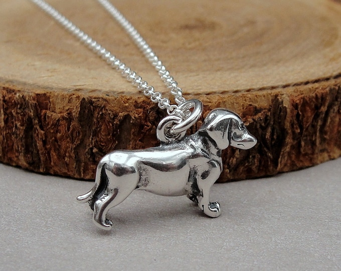 Dachshund Necklace, Sterling Silver 3D Dachshund Charm on a Silver Cable Chain, Doxen Necklace, Dachshund Gift, Dachshund Jewelry