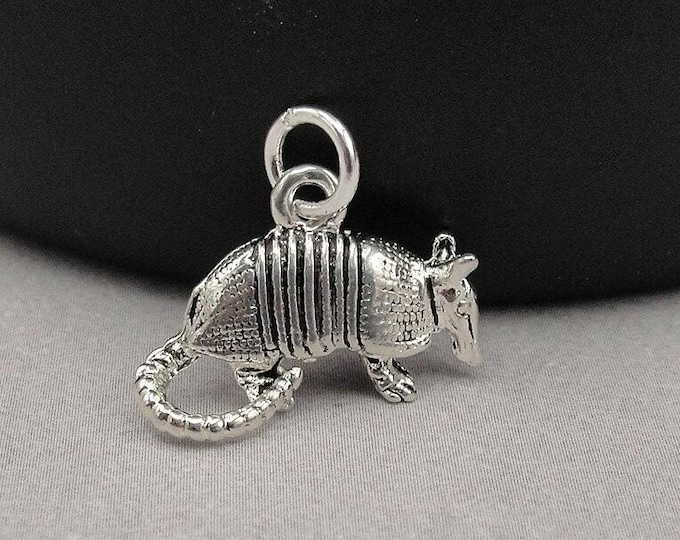 Armadillo Charm, Silver Texas Armadillo Charm for Necklace or Bracelet, Texas Charm, 3D Armadillo Charm, Armadillo Gift, Armadillo Jewelry