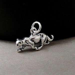 Panther Charm, 925 Sterling Silver 3D Panther Charm for Necklace or Bracelet, Jaguar Charm, Cougar Charm, Jungle Charm, Big Cat Charm