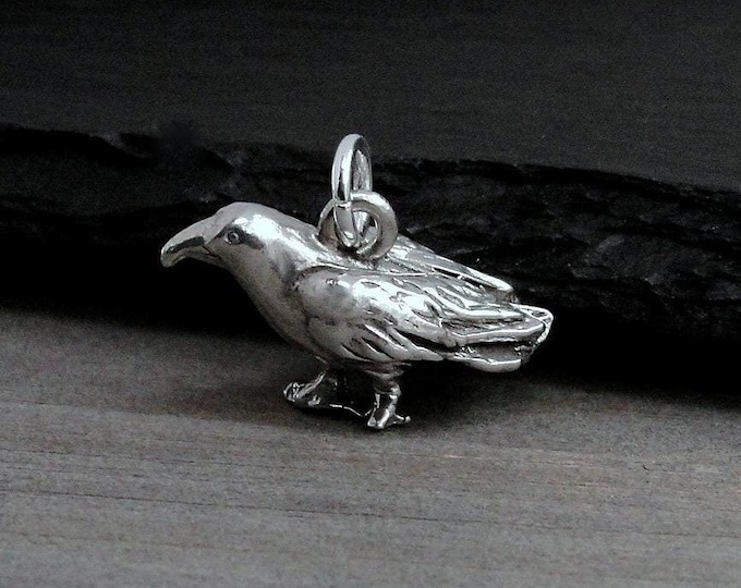 Silver Crow Charm, 3D Raven Charm, Rook Charm, Black Bird Charm, Crow Pendant, Raven Necklace Pendant, Bird Charm, Crow Gift Jewelry