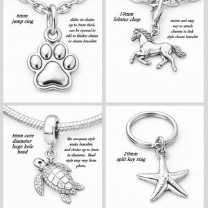 The image is a collage of four different charms, each with unique designs and sizes. The charms include a jump ring, a lobster clasp, a turtle, and a starfish.