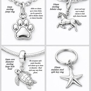 The image is a collage of four different charms, each with unique designs and sizes. The charms include a lobster clasp, a key ring, a turtle, and a starfish.