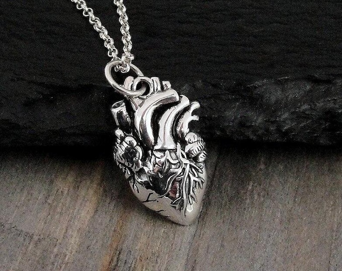 Anatomical Heart Necklace, Sterling Silver Anatomical Heart Charm on a Silver Cable Chain, Realistic Heart Necklace, Human Heart Necklace