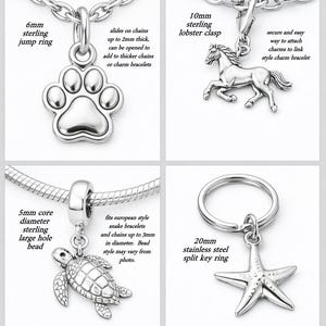 The image is a collage of four different charms, each with unique designs and sizes. The charms include a lobster clasp, a key ring, a turtle, and a starfish.