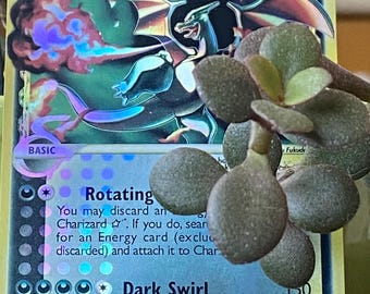 Charizard Delta Star Proxy HandPicked