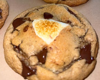 Vegan BAKERS DOZEN (13) S’mores Treats. A Plant-Based Twist on a Classic.