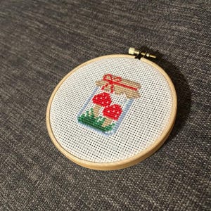 Completed mushroom jar cross stitch