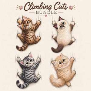 May include: A digital illustration titled Climbing Cats BUNDLE featuring four kittens climbing. Top left is a brown tabby, top right is a cream and brown point kitten, bottom left is a gray tabby, and bottom right is a fluffy light orange kitten.