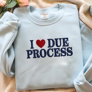 I Love Due Process Shirt – Immigration Lawyer Gift, Pro-Immigrant Civil Rights Tee, Equality T-Shirt for Activists