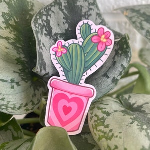 Sticker hartcactus