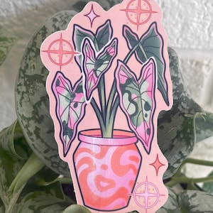 Sticker Alocasia rose