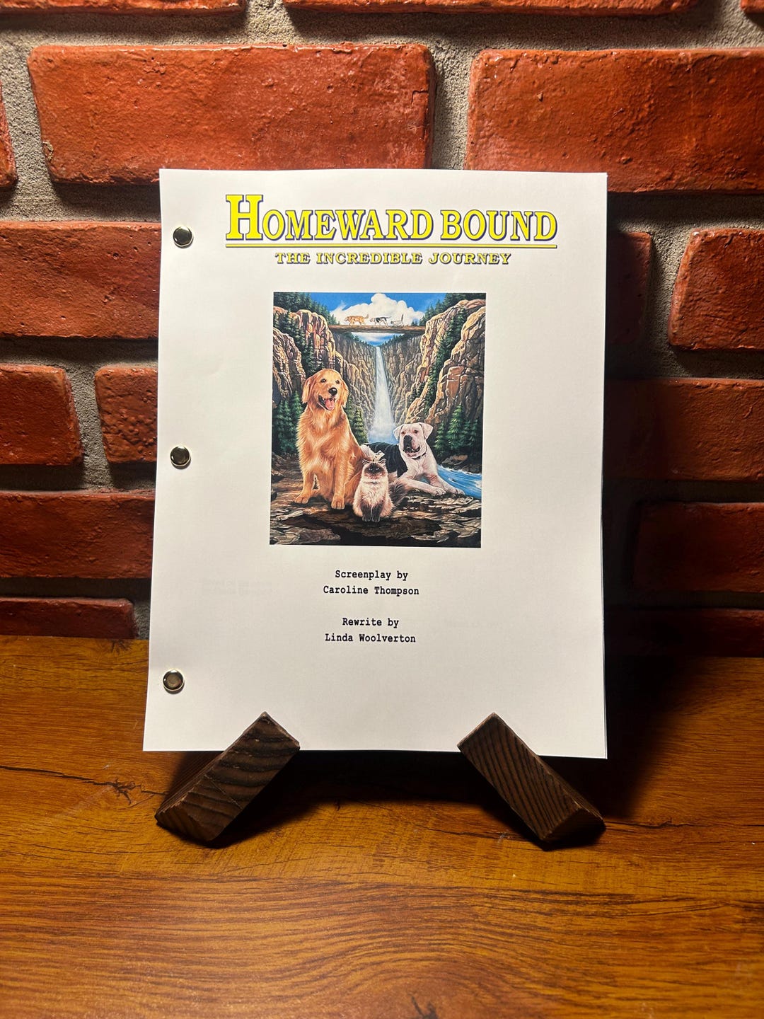 Homeward Bound Script Full Screenplay Full Script Reprint the ...