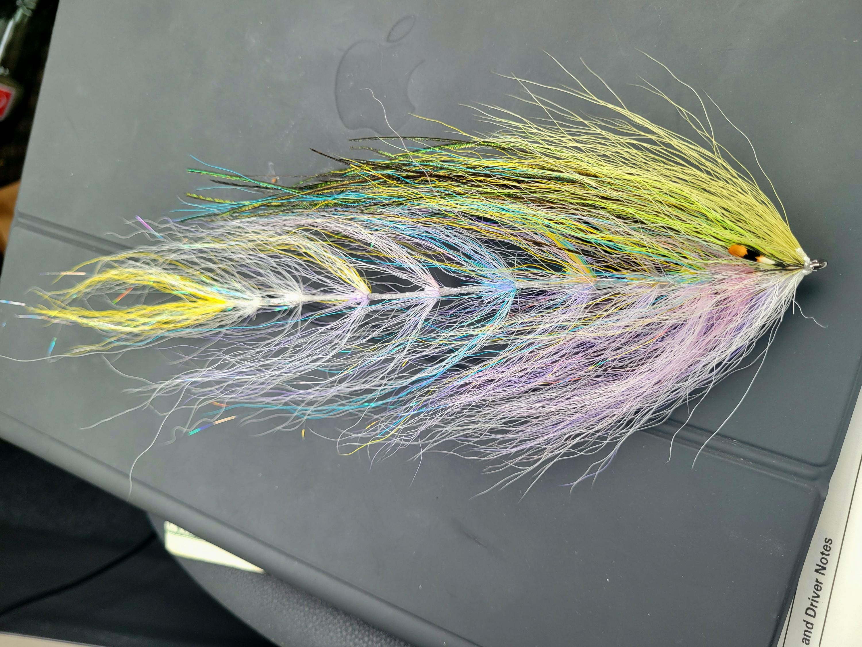 Beast Fly (fleye)