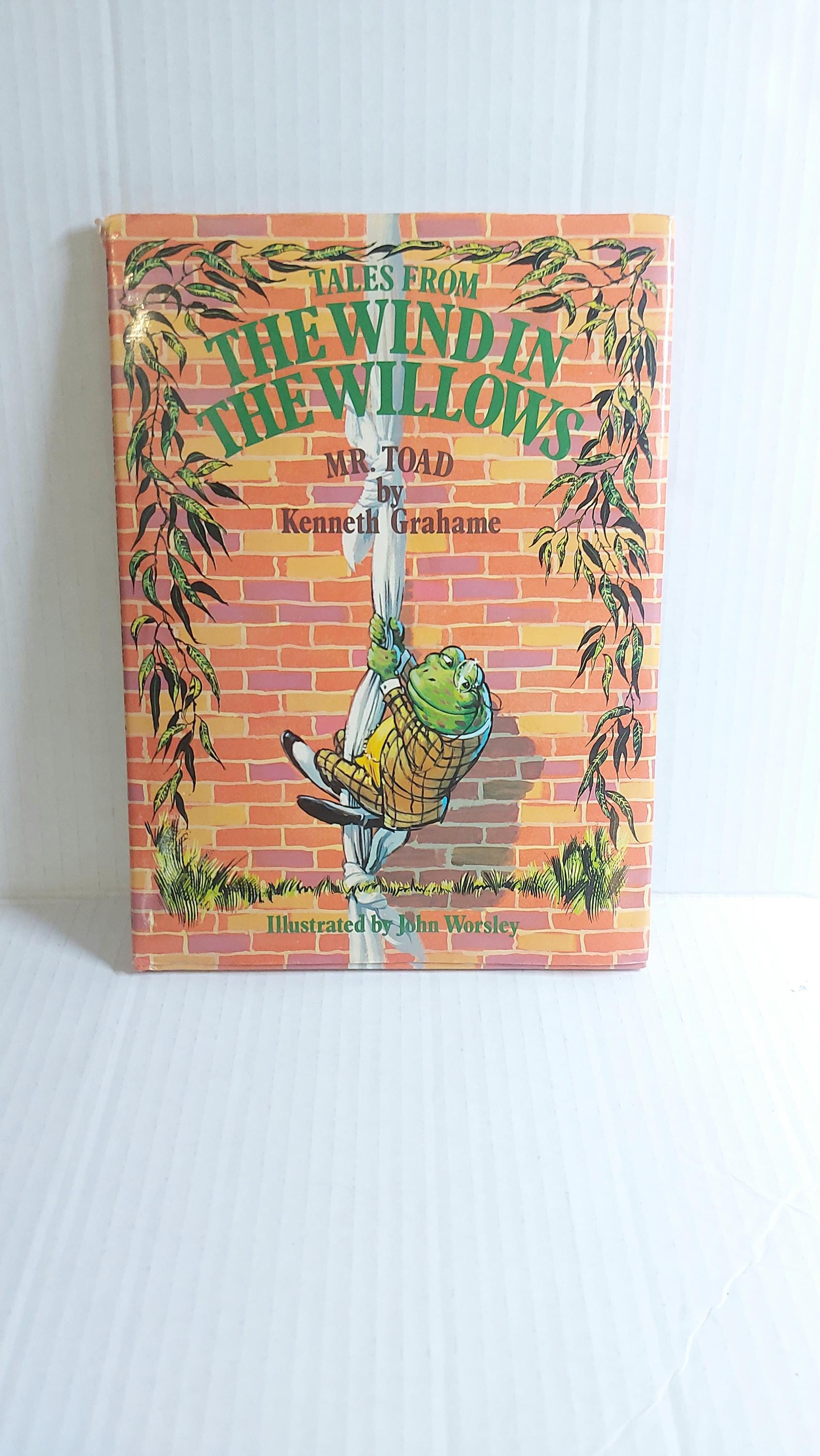 Vintage Rare Tales From the Wind in the Willows Mr Todd by Kenneth ...
