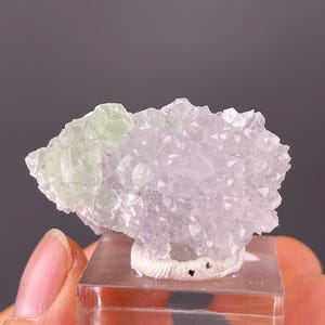 Grüner Fluorit Mineral mit Quarz Stufe: Roher Kristall aus China für Sammler & Dekor