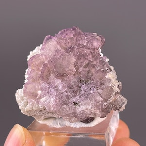Seltene Lila Fluorit Gruppe: Rohes Mineral aus Guibezug, China - Healing Crystal Collection