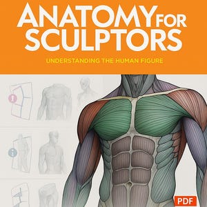 May include: Anatomy for Sculptors book cover. The book features a detailed illustration of the human musculature. The title is in large white letters on an orange background. The image includes the text "Understanding the Human Figure."