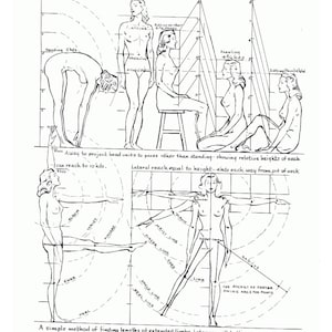May include: A monochrome illustration from an art textbook, titled "Proportions by Arcs and Head Units." The page shows diagrams of human figures in different poses, with lines and measurements for anatomical study. Text includes "Full Height" and "Lateral reach equal to height."