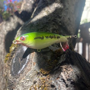 May include: A green and white fishing lure with black accents and red eyes. The lure has a red tail fin and is designed to attract fish. It is shown resting on a tree trunk.