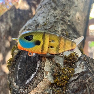 Micro Glidebait 2”