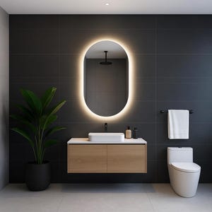 Oval Mirror with LED Lights, Asymmetrical Led Mirror for Bathroom or Bedroom Decor, Illuminated Large Mirror, Decorative Vertical Mirror