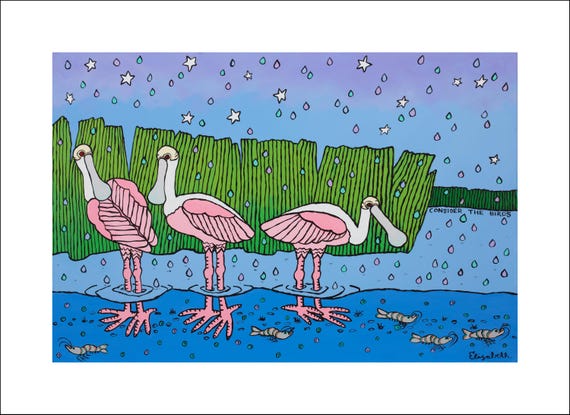 Look at the Birds: Spoonbills Fine Art Print