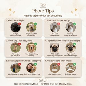 K&ouml;nnte beinhalten: Beige Grafik mit dem Text "Photo Tips" und "Help us capture your pet beautifully". Die Grafik enth&auml;lt Beispiele f&uuml;r gute und schlechte Haustierfotos, wie z. B. Beleuchtung, Fokus und Zuschneiden. Der Text unten lautet: "Your pet means everything - we'll take great care of every detail."