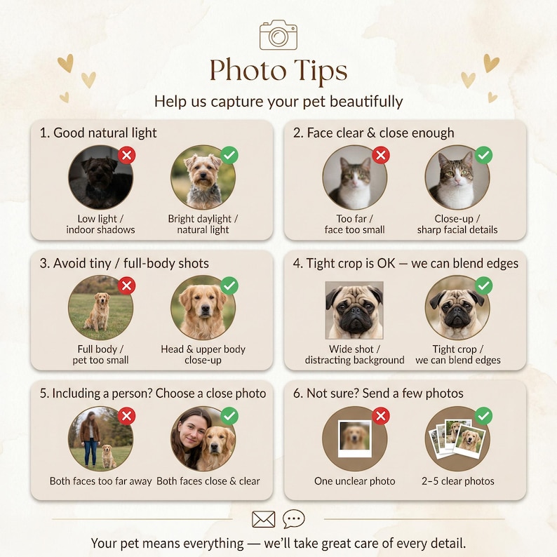 K&ouml;nnte beinhalten: Beige Grafik mit dem Text "Photo Tips" und "Help us capture your pet beautifully". Die Grafik enth&auml;lt Beispiele f&uuml;r gute und schlechte Haustierfotos, wie z. B. Beleuchtung, Fokus und Zuschneiden. Der Text unten lautet: "Your pet means everything - we'll take great care of every detail."