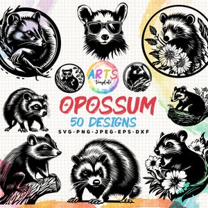 opossum bundle svg png jpeg eps dxf vector bundle silhouette cricut commercial use custom opossum animal possum svg flower sunglass vector