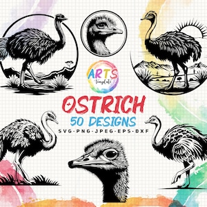 ostrich bundle art template svg png jpeg eps dxf bundle silhouette clipart cricut vector commercial use custom ostrich bird cutting files