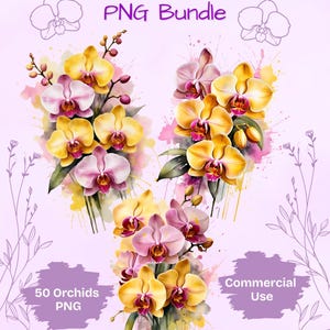 Lot de cliparts orchidées aquarelle | 50 illustrations florales PNG | Orchidées jaunes et roses | Téléchargement numérique botanique | Utilisation commerciale