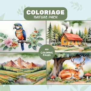 Coloriage Nature PDF à Imprimer – 100 ページパック à Colorier: Forêt、Animaux、Fleurs、Champignons – 印刷可能な自然のぬりえページ